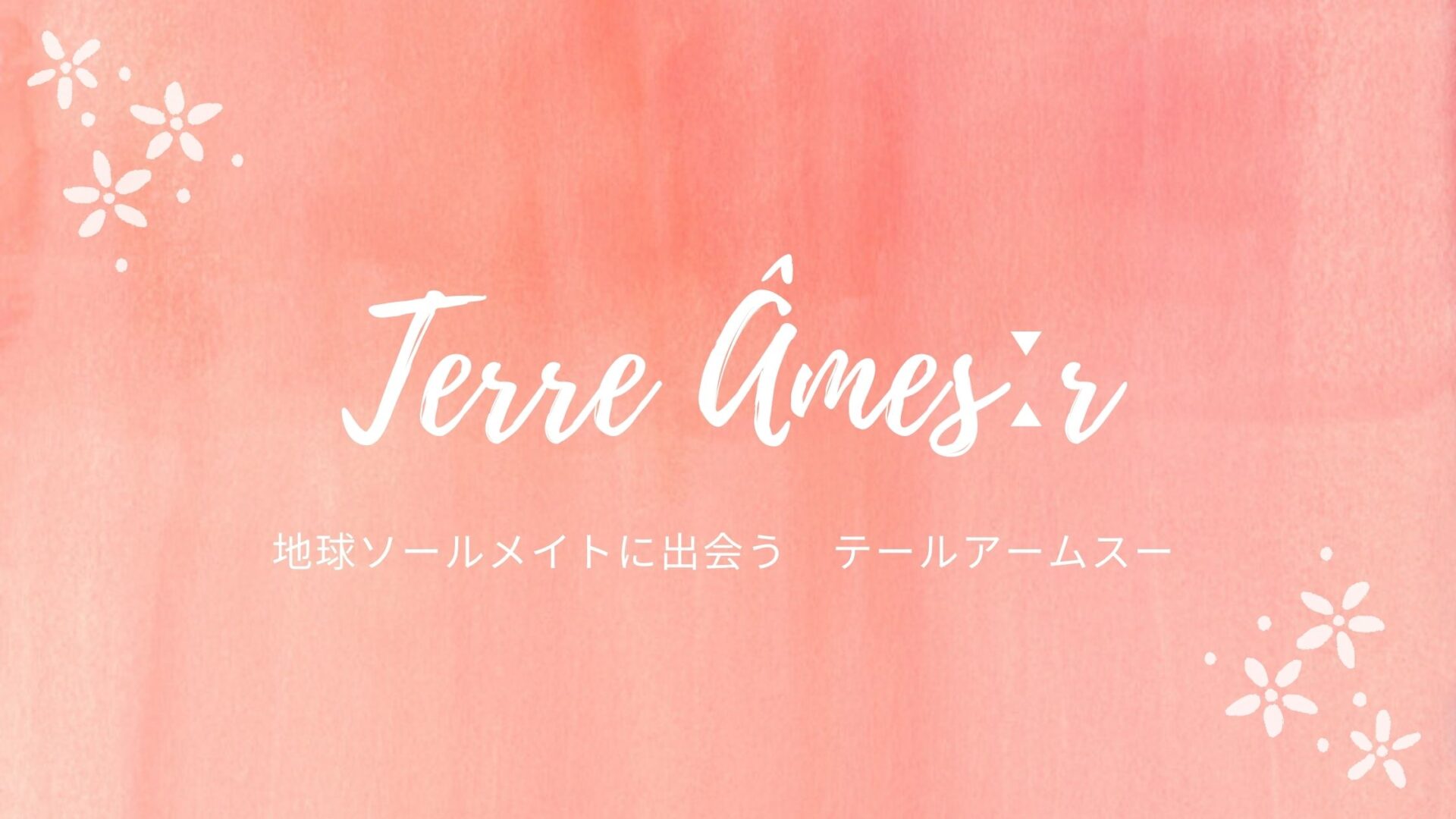 フランス語の発音 ン の壁 M と N の違い Terre Amesːr